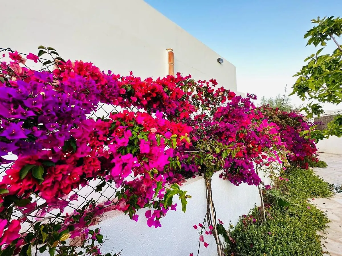Villa Alegria Cala Egos Cala D´Or